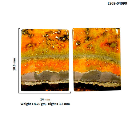 Indonesian Bumble Bee Pair 14x18.3x3.5 mm Baguette Shape Polished Gemstone LS69-04090