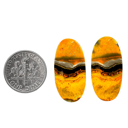 Indonesian Bumble Bee Pair 13x26.5x3.5 mm Oval Shape Polished Gemstone LS69-04094