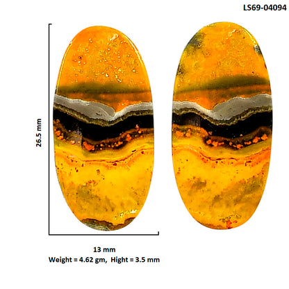 Indonesian Bumble Bee Pair 13x26.5x3.5 mm Oval Shape Polished Gemstone LS69-04094