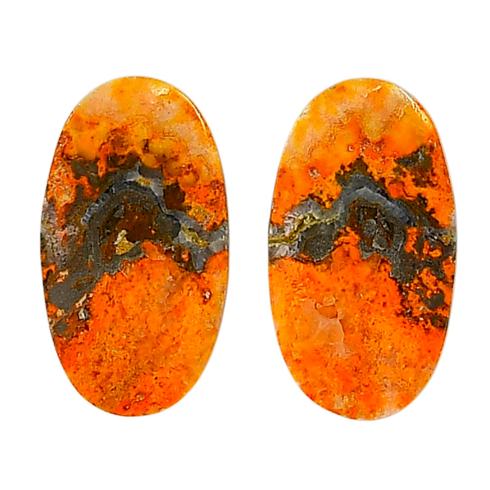 Indonesian Bumble Bee Pair 13.3x24x3.7 mm Oval Shape Polished Gemstone LS69-04096