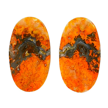 Indonesian Bumble Bee Pair 13.3x24x3.7 mm Oval Shape Polished Gemstone LS69-04096