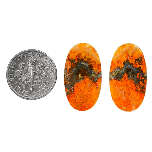 Indonesian Bumble Bee Pair 13.3x24x3.7 mm Oval Shape Polished Gemstone LS69-04096