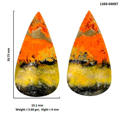 Indonesian Bumble Bee Pair 15.1x28.75x4 mm Pear Shape Polished Gemstone LS69-04097