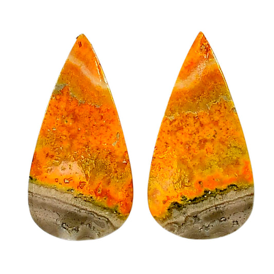 Indonesian Bumble Bee Pair 14.25x28.8x4 mm Pear Shape Polished Gemstone LS69-04098