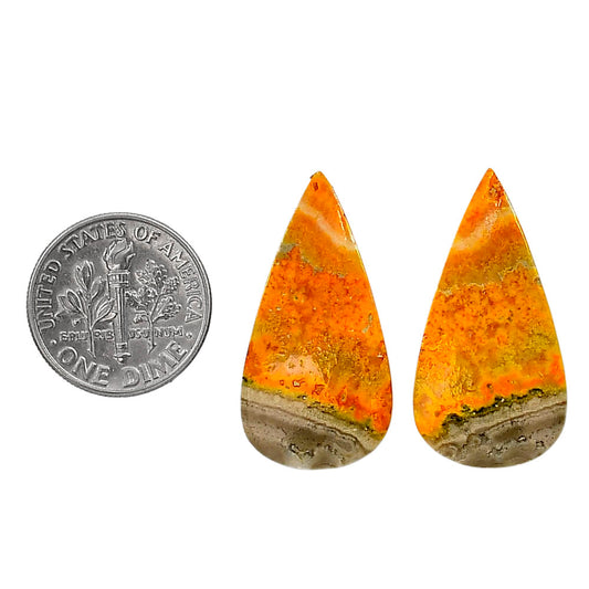 Indonesian Bumble Bee Pair 14.25x28.8x4 mm Pear Shape Polished Gemstone LS69-04098