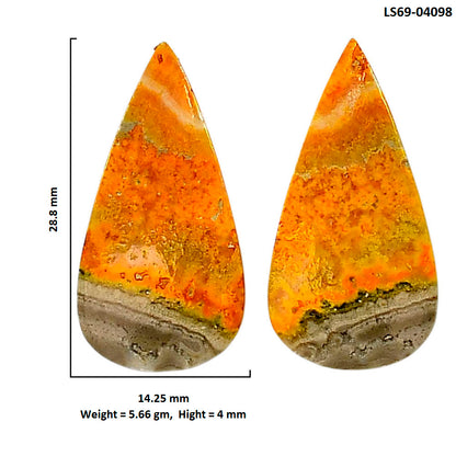 Indonesian Bumble Bee Pair 14.25x28.8x4 mm Pear Shape Polished Gemstone LS69-04098