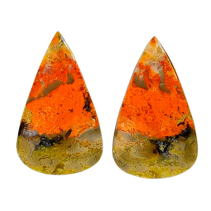 Indonesian Bumble Bee Pair 16.25x27x4 mm Pear Shape Polished Gemstone LS69-04099