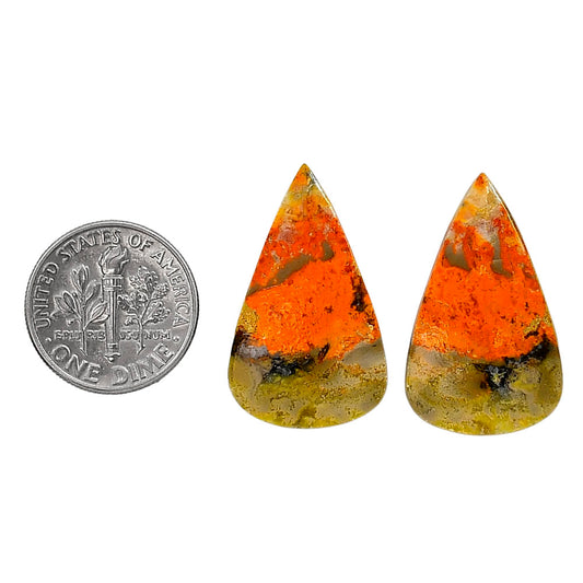 Indonesian Bumble Bee Pair 16.25x27x4 mm Pear Shape Polished Gemstone LS69-04099