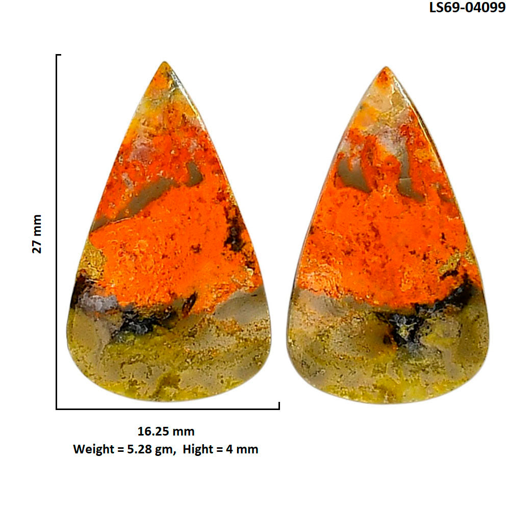 Indonesian Bumble Bee Pair 16.25x27x4 mm Pear Shape Polished Gemstone LS69-04099