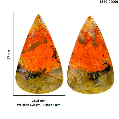 Indonesian Bumble Bee Pair 16.25x27x4 mm Pear Shape Polished Gemstone LS69-04099