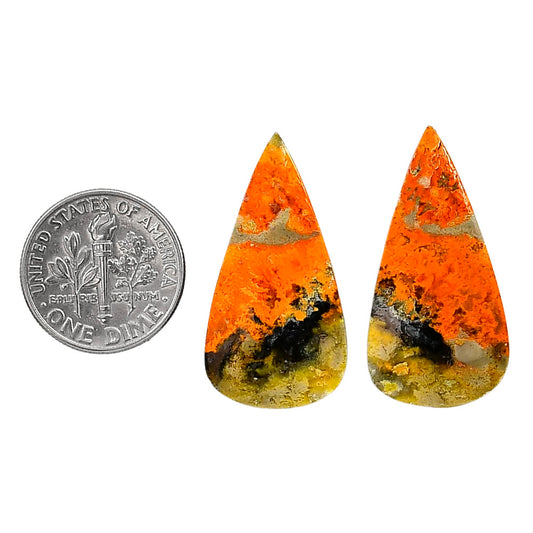 Indonesian Bumble Bee Pair 15.5x30x4.5 mm Pear Shape Polished Gemstone LS69-04100