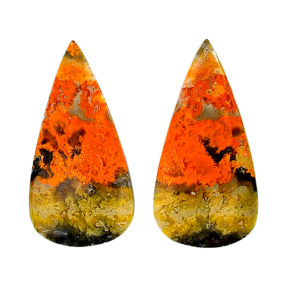 Indonesian Bumble Bee Pair 15.85x31x4 mm Pear Shape Polished Gemstone LS69-04101