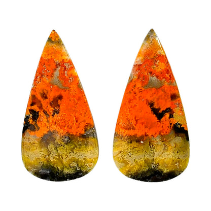 Indonesian Bumble Bee Pair 15.85x31x4 mm Pear Shape Polished Gemstone LS69-04101