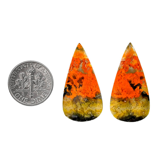 Indonesian Bumble Bee Pair 15.85x31x4 mm Pear Shape Polished Gemstone LS69-04101