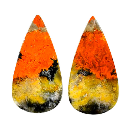 Indonesian Bumble Bee Pair 15.6x30.25x4 mm Pear Shape Polished Gemstone LS69-04102
