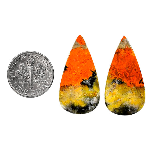 Indonesian Bumble Bee Pair 15.6x30.25x4 mm Pear Shape Polished Gemstone LS69-04102