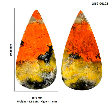 Indonesian Bumble Bee Pair 15.6x30.25x4 mm Pear Shape Polished Gemstone LS69-04102