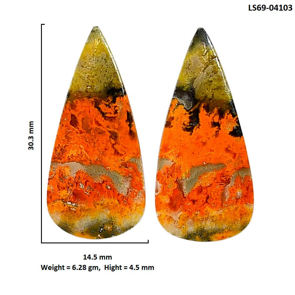Indonesian Bumble Bee Pair 14.5x30.3x4.5 mm Pear Shape Polished Gemstone LS69-04103