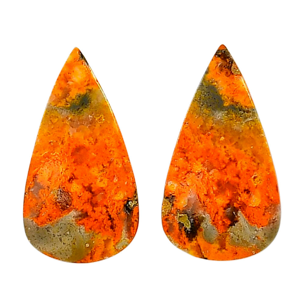 Indonesian Bumble Bee Pair 14.15x25.8x4.3 mm Pear Shape Polished Gemstone LS69-04109
