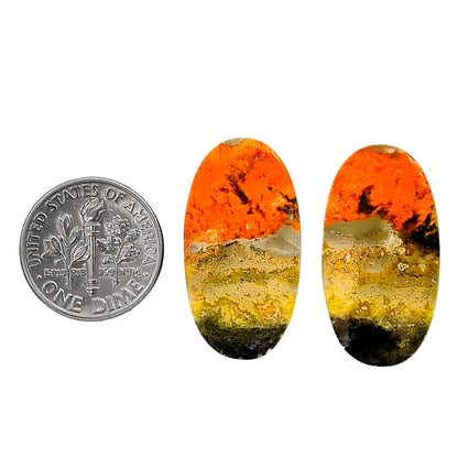 Indonesian Bumble Bee Pair 14.6x27.3x4 mm Oval Shape Polished Gemstone LS69-04110