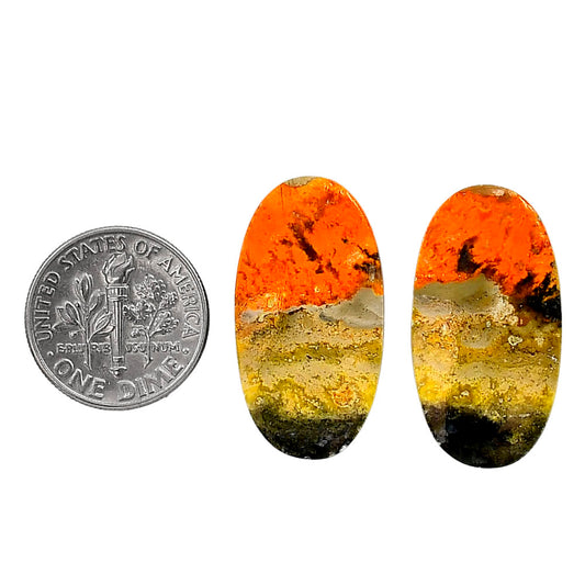 Indonesian Bumble Bee Pair 14.6x27.3x4 mm Oval Shape Polished Gemstone LS69-04110
