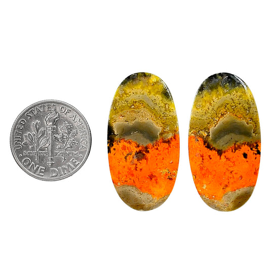 Indonesian Bumble Bee Pair 16x30.25x4 mm Oval Shape Polished Gemstone LS69-04112