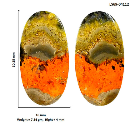 Indonesian Bumble Bee Pair 16x30.25x4 mm Oval Shape Polished Gemstone LS69-04112