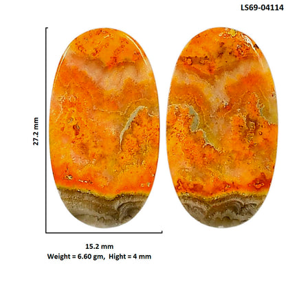 Indonesian Bumble Bee Pair 15.2x27.2x4 mm Oval Shape Polished Gemstone LS69-04114