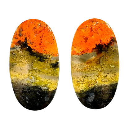 Indonesian Bumble Bee Pair 15.3x28x4 mm Oval Shape Polished Gemstone LS69-04116