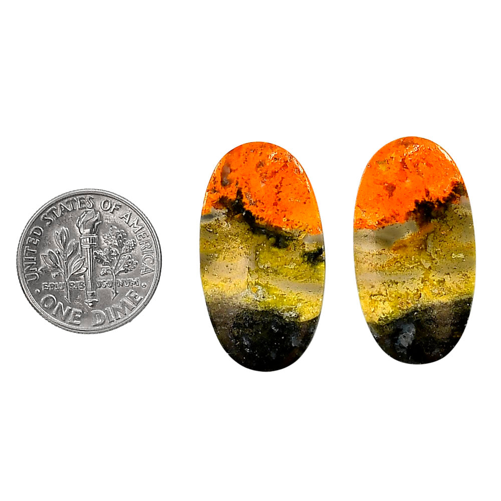 Indonesian Bumble Bee Pair 15.3x28x4 mm Oval Shape Polished Gemstone LS69-04116