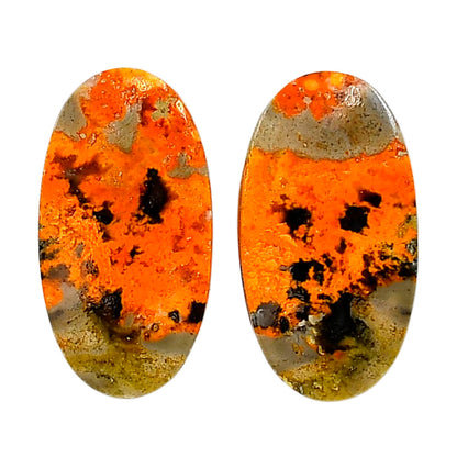 Indonesian Bumble Bee Pair 15x28x4 mm Oval Shape Polished Gemstone LS69-04117
