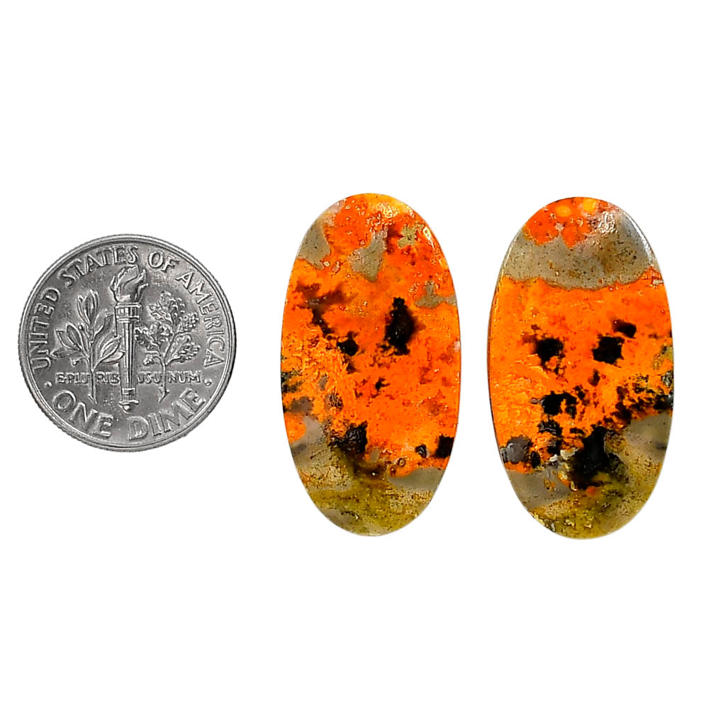 Indonesian Bumble Bee Pair 15x28x4 mm Oval Shape Polished Gemstone LS69-04117