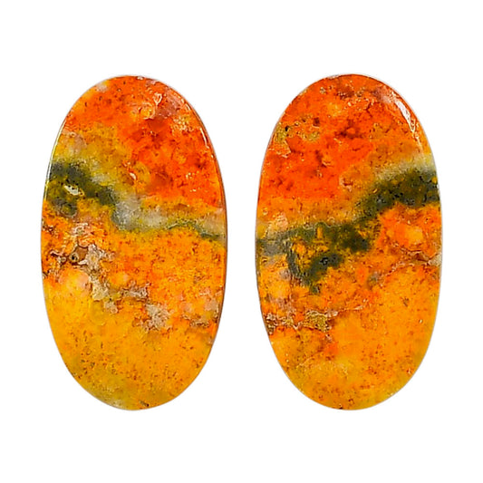 Indonesian Bumble Bee Pair 15x26.8x4 mm Oval Shape Polished Gemstone LS69-04118