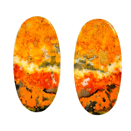 Indonesian Bumble Bee Pair 15.25x30.45x4.5 mm Oval Shape Polished Gemstone LS69-04122