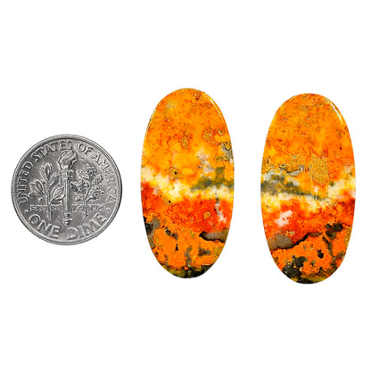 Indonesian Bumble Bee Pair 15.25x30.45x4.5 mm Oval Shape Polished Gemstone LS69-04122