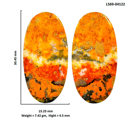 Indonesian Bumble Bee Pair 15.25x30.45x4.5 mm Oval Shape Polished Gemstone LS69-04122