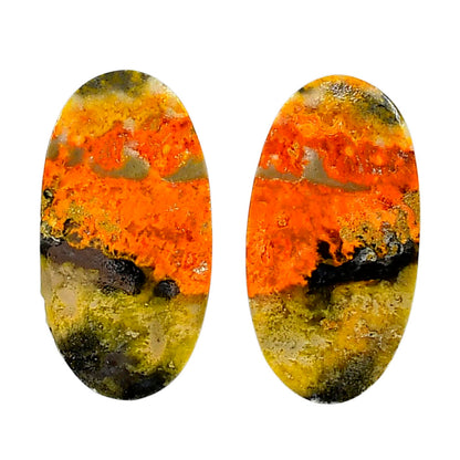 Indonesian Bumble Bee Pair 15.2x29.8x4 mm Oval Shape Polished Gemstone LS69-04125