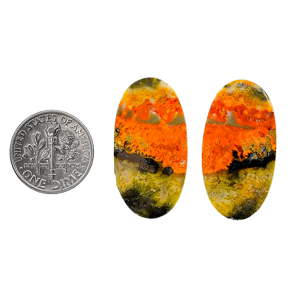 Indonesian Bumble Bee Pair 15.2x29.8x4 mm Oval Shape Polished Gemstone LS69-04125