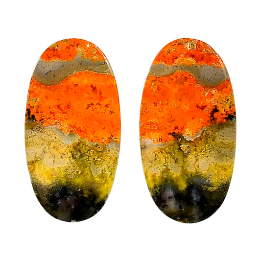 Indonesian Bumble Bee Pair 16.35x31x4.3 mm Oval Shape Polished Gemstone LS69-04127