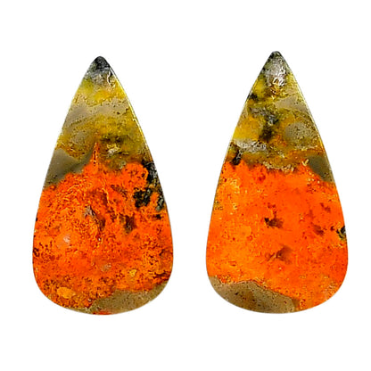 Indonesian Bumble Bee Pair 14.5x26.5x4.3 mm Pear Shape Polished Gemstone LS69-04128