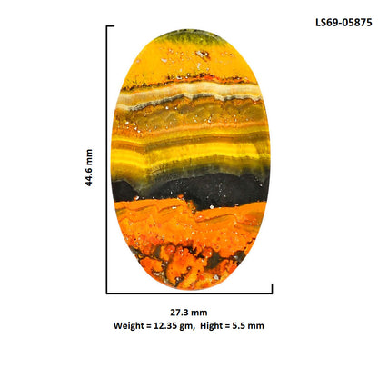 Indonesian Bumble Bee 27.3x44.6x5.5 mm Oval Shape Polished Gemstone LS69-05875