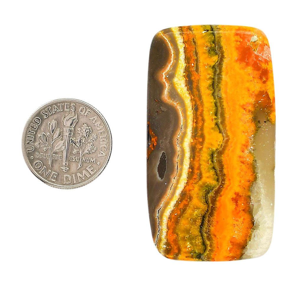Indonesian Bumble Bee 25.4x46.2x5.5 mm Cushion Shape Polished Gemstone LS69-05877