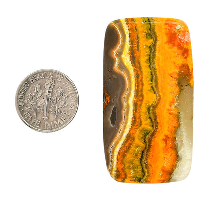 Indonesian Bumble Bee 25.4x46.2x5.5 mm Cushion Shape Polished Gemstone LS69-05877