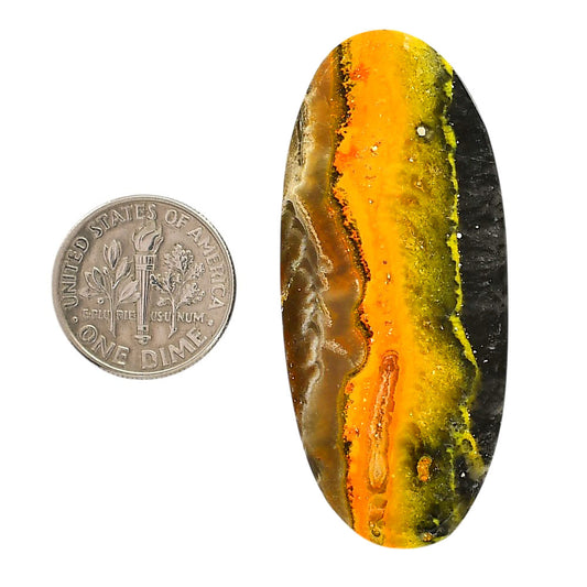 Indonesian Bumble Bee 22x49.7x5.5 mm Oval Shape Polished Gemstone LS69-05879