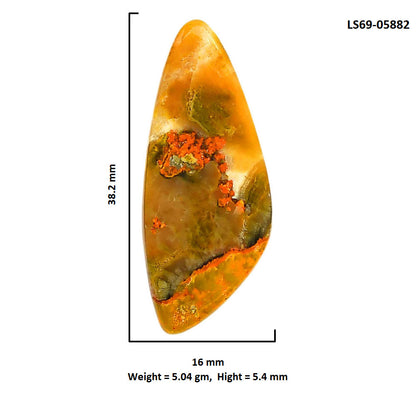 Indonesian Bumble Bee 16x38.2x5.4 mm Fancy Shape Polished Gemstone LS69-05882