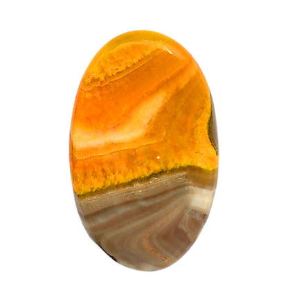 Indonesian Bumble Bee 19.3x31.2x5.7 mm Oval Shape Polished Gemstone LS69-05883