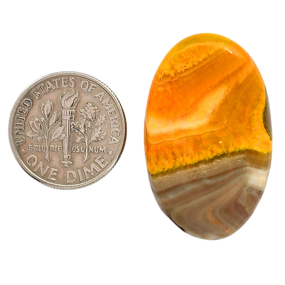 Indonesian Bumble Bee 19.3x31.2x5.7 mm Oval Shape Polished Gemstone LS69-05883
