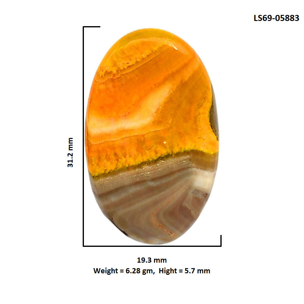 Indonesian Bumble Bee 19.3x31.2x5.7 mm Oval Shape Polished Gemstone LS69-05883