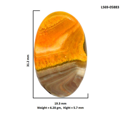 Indonesian Bumble Bee 19.3x31.2x5.7 mm Oval Shape Polished Gemstone LS69-05883