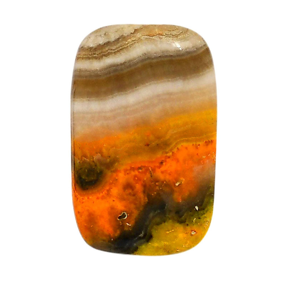 Indonesian Bumble Bee 18.3x29.3x5 mm Cushion Shape Polished Gemstone LS69-05884